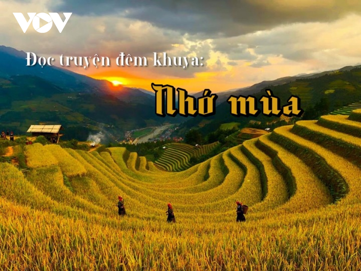 Truyện ngắn "Nhớ mùa" - Nhớ đất, nhớ bát cơm dẻo ngọt, nhớ tình xưa còn mãi đong đầy